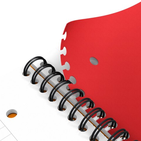 Kołonotatnik A4 80K linie PP OXFORD Activebook International 100102994